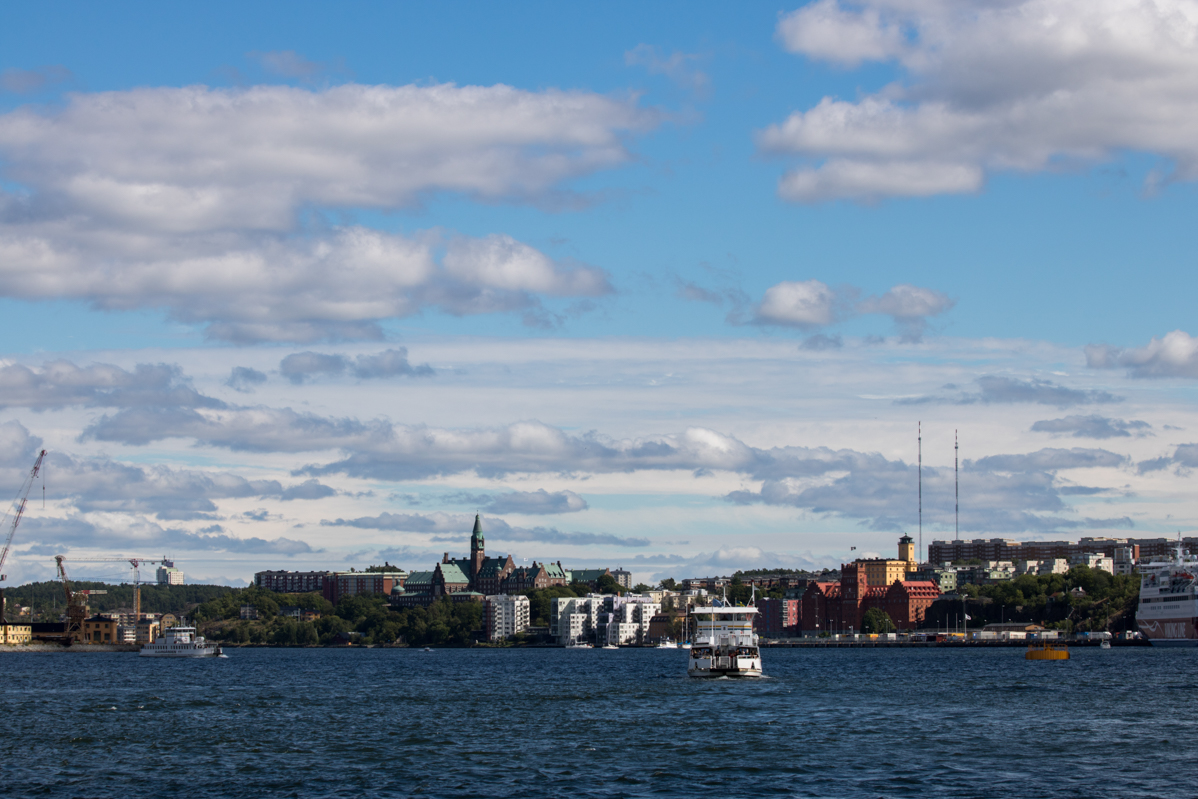 The Human Race: Stockholm August 2016