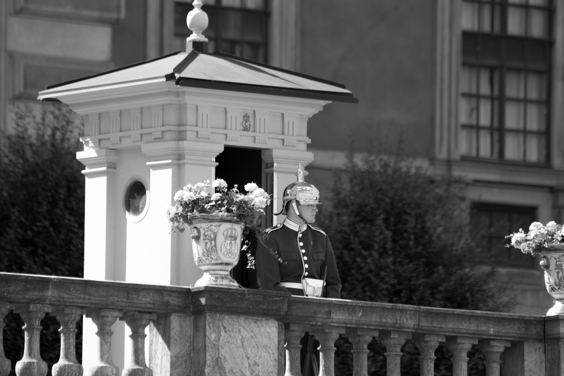 On Guard. Stockholm Palace, Stockholm, Sweden.