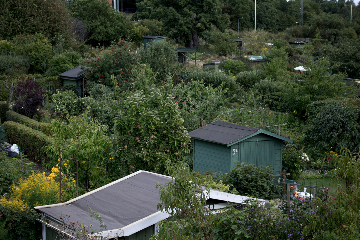 The Little Gardens that Remain. Universitetet, Stockholm, Sweden.